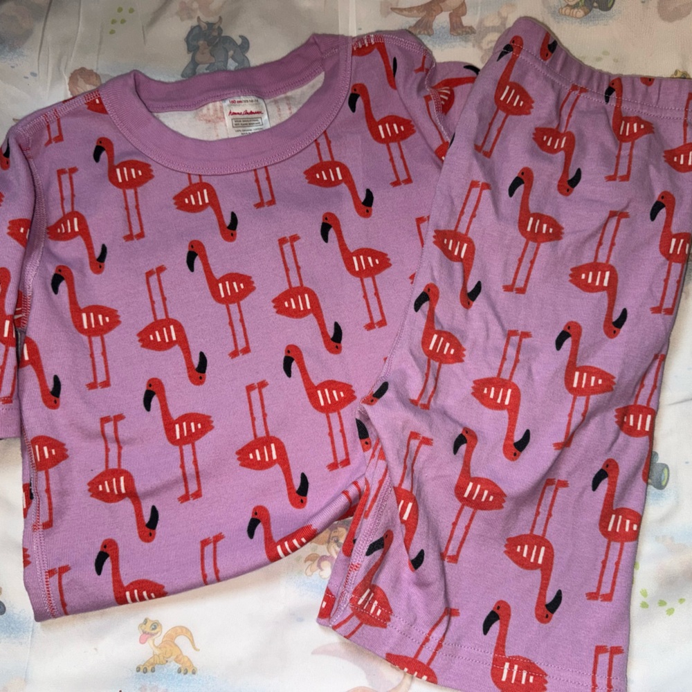 Hannah Anderson 2 pc flamingo pajamas Jammies set